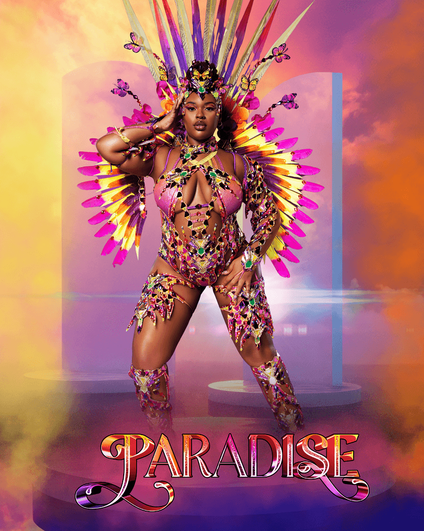 Package image