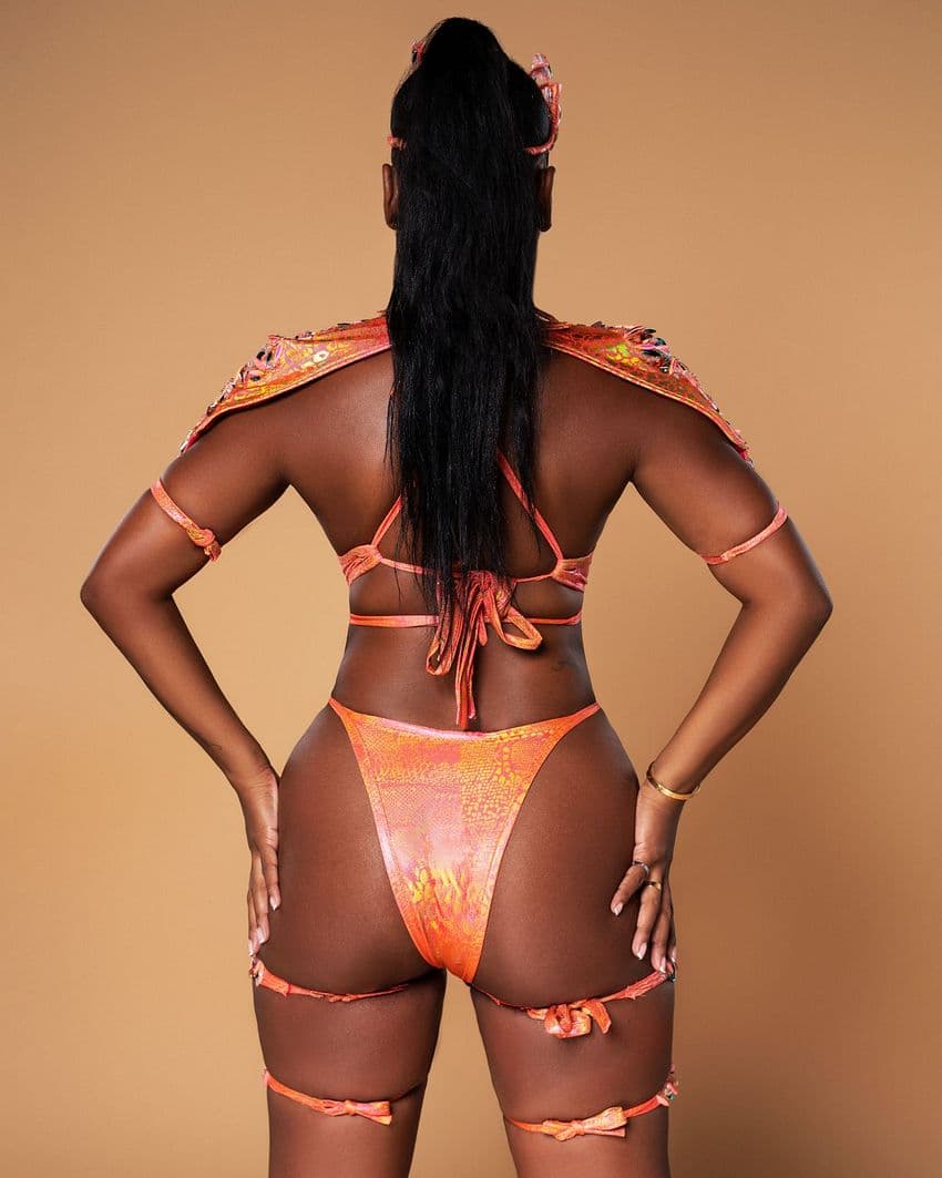 Package image