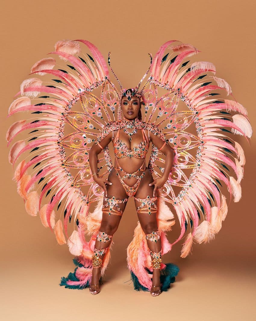 Package image