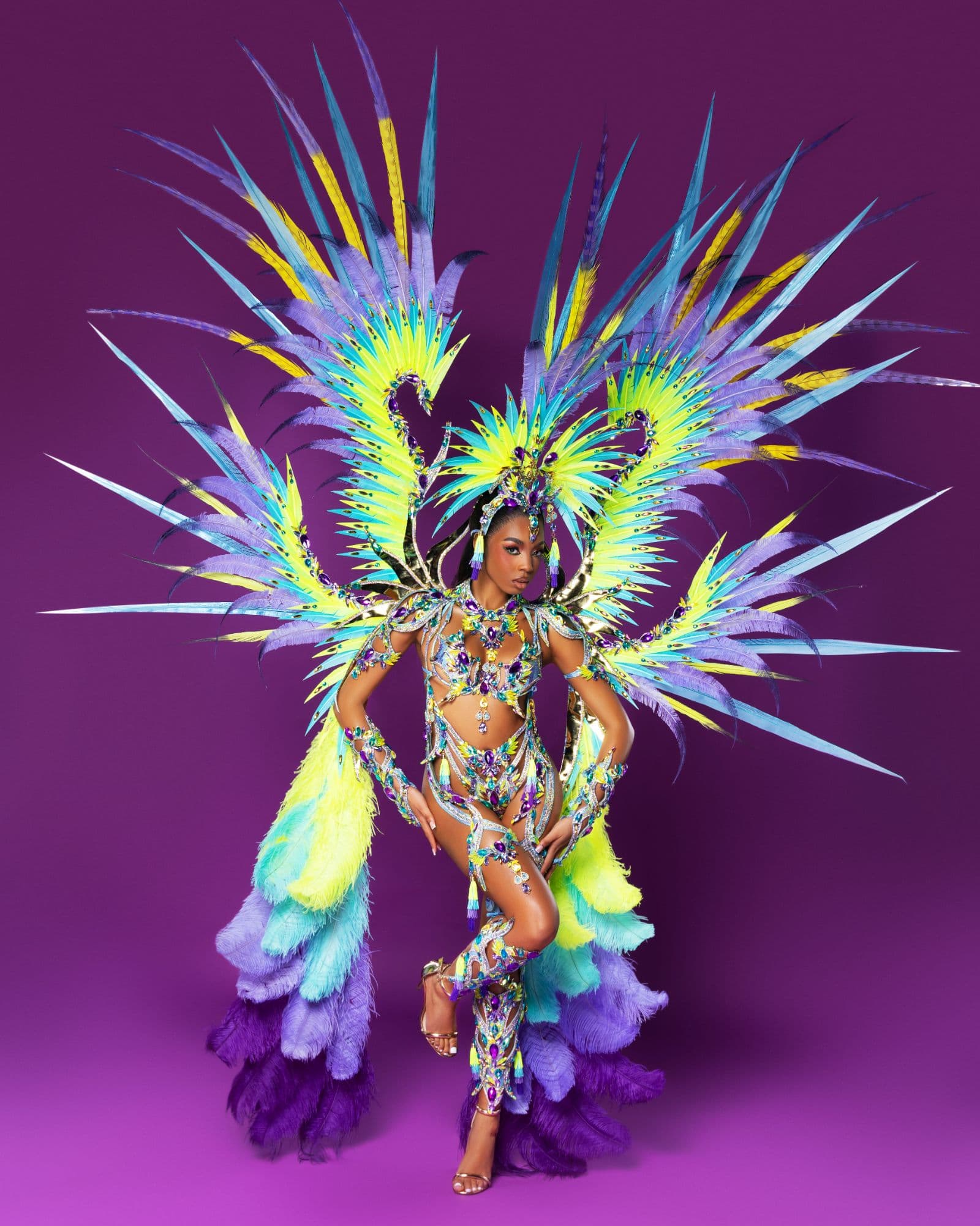 Package image